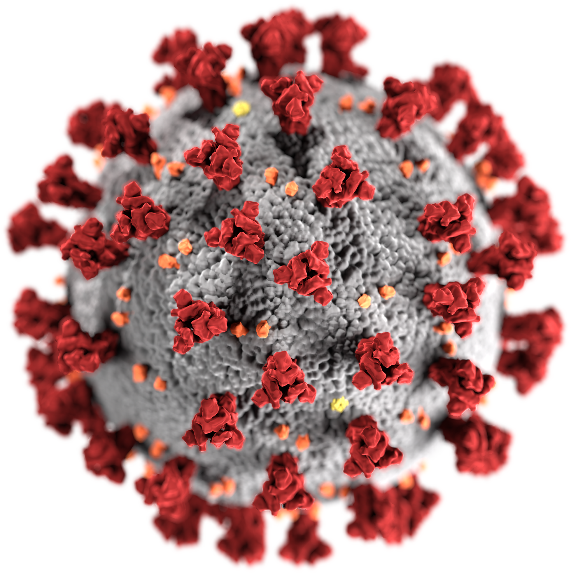 corona virus tracheostomy