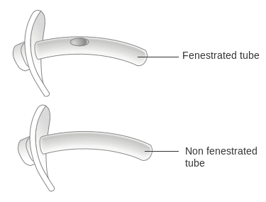 fenestrated vs unfenestrated
